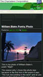 Mobile Screenshot of chameleoncorporation.com
